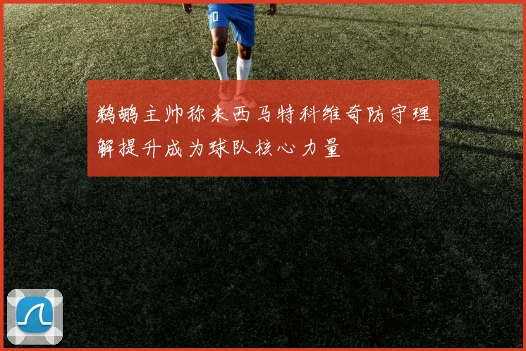 鹈鹕主帅称米西马特科维奇防守理解提升成为球队核心力量