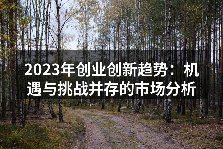 2023年创业创新趋势：机遇与挑战并存的市场分析